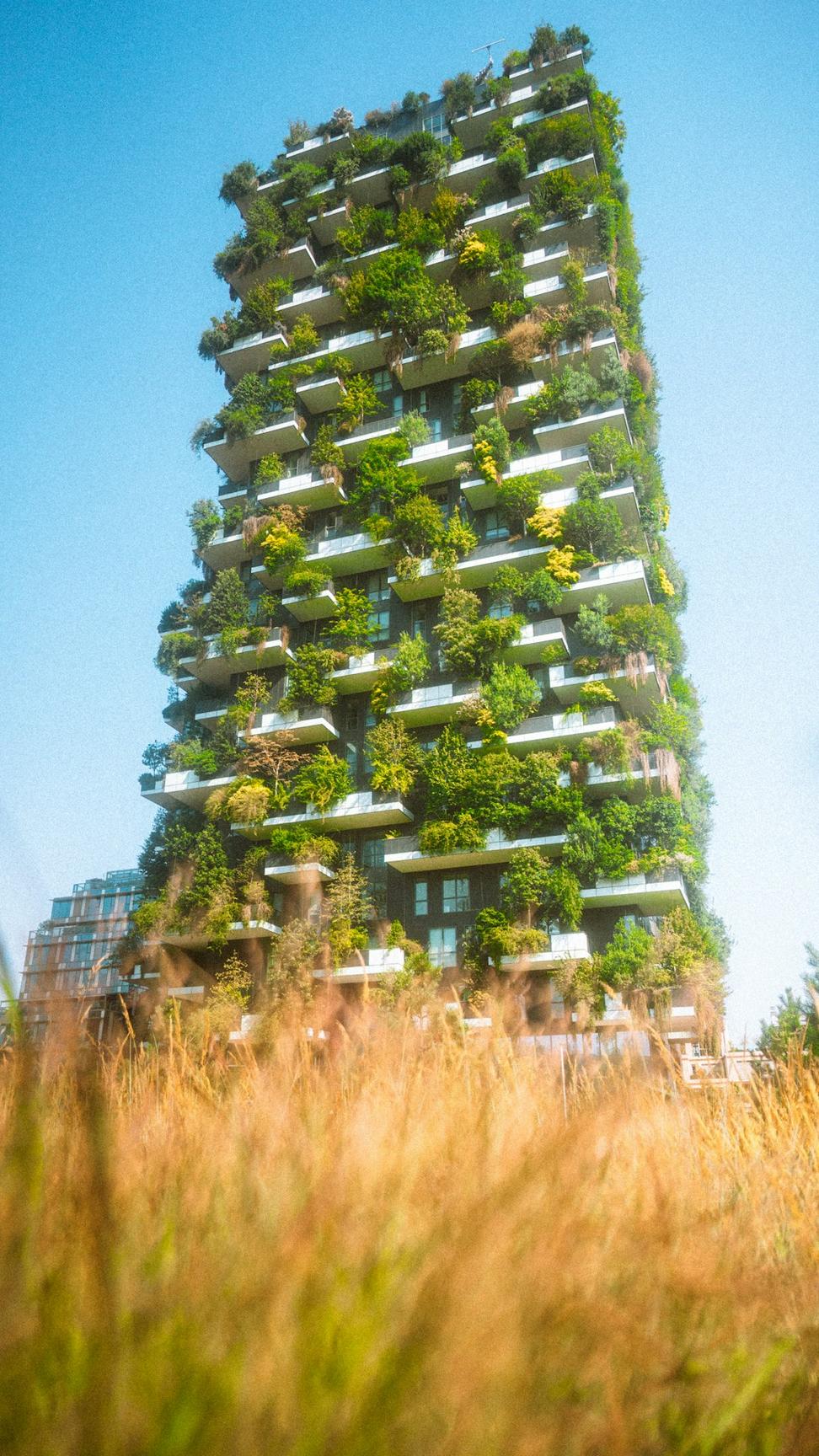 Sustainable Consultation